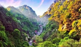 泰安景区爆料事件最新情况,最新进展揭秘，真相大白！